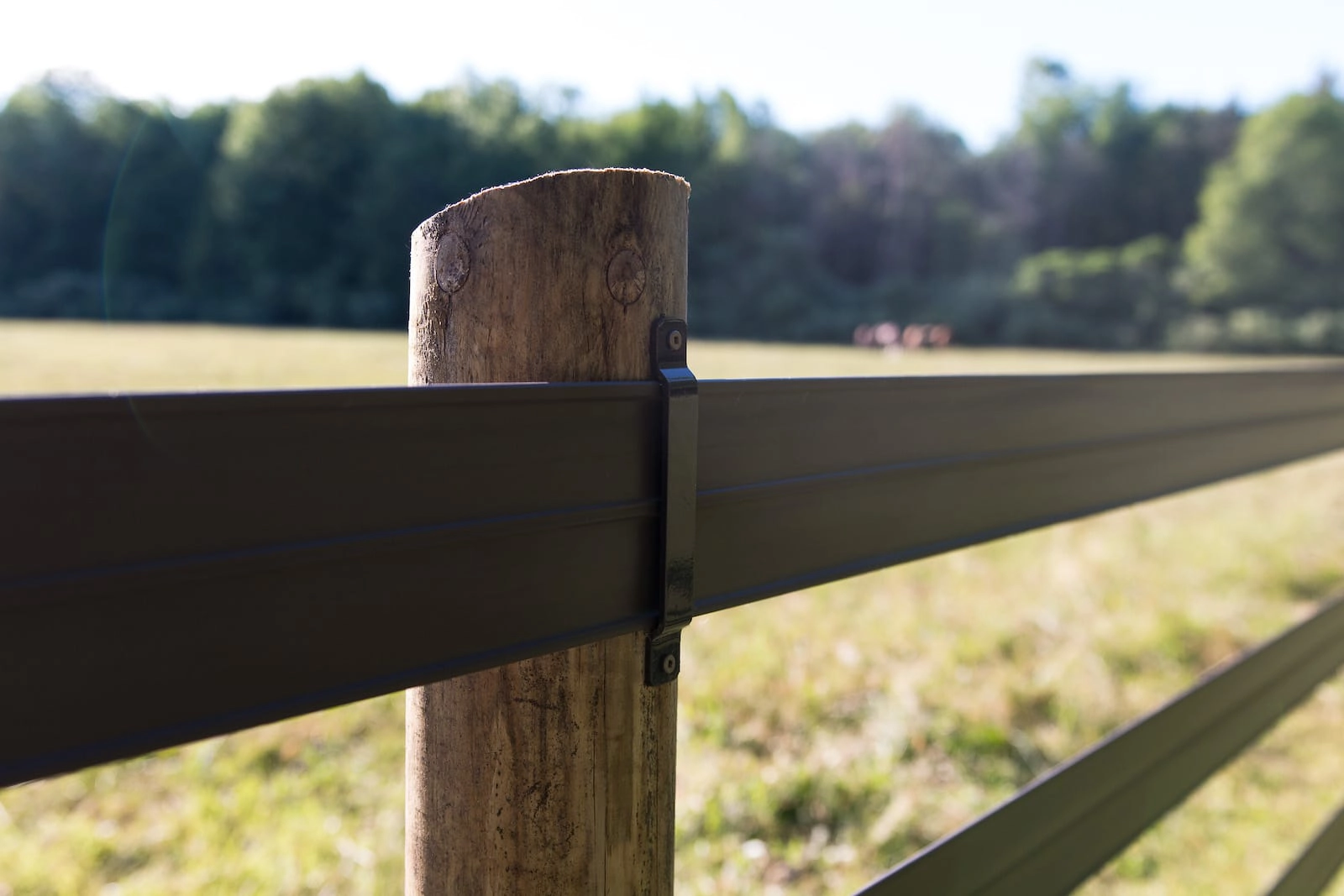 Black fence post- Stock and Noble