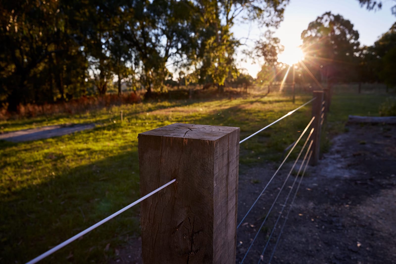 Border Line Strong, light, Flexible - Stock and Noble
