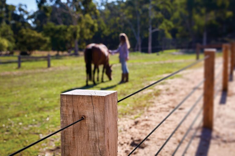 Horse Fencing Solutions Horse Fencing New Zealand Stock and Noble