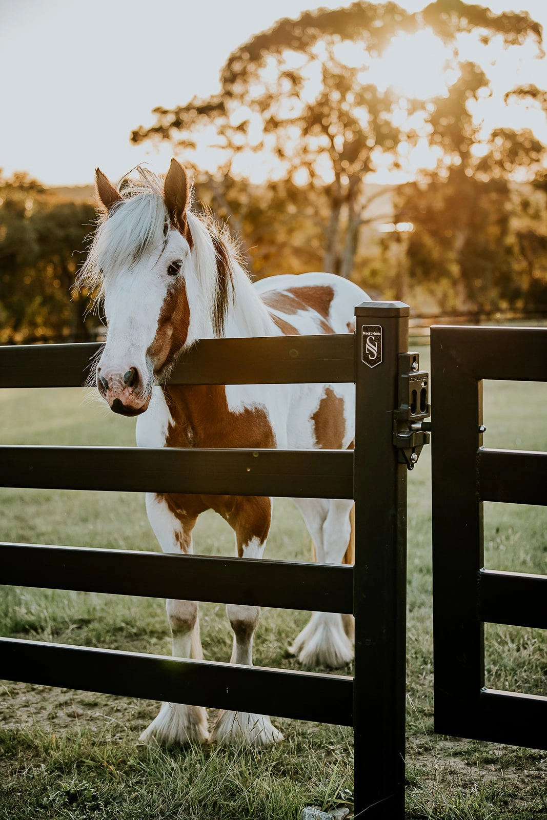 stock-and-noble-buckley-steel-fence-95