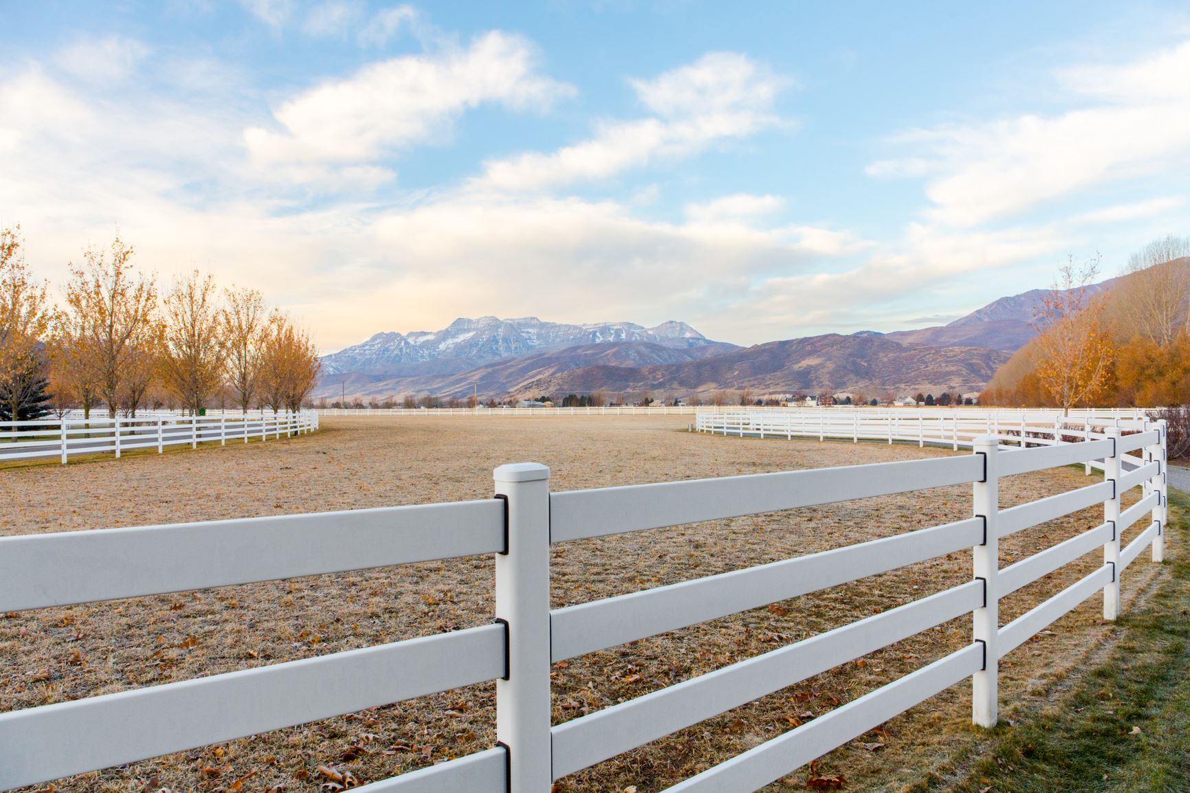 fence paint