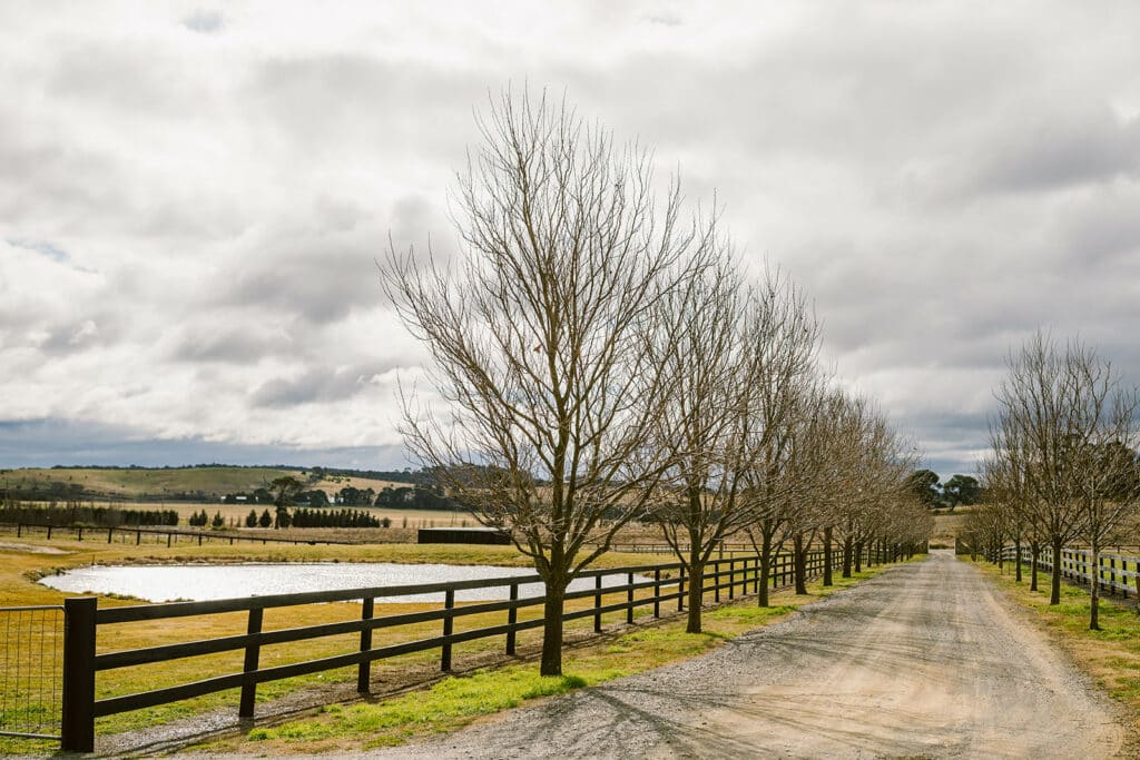 horse fence