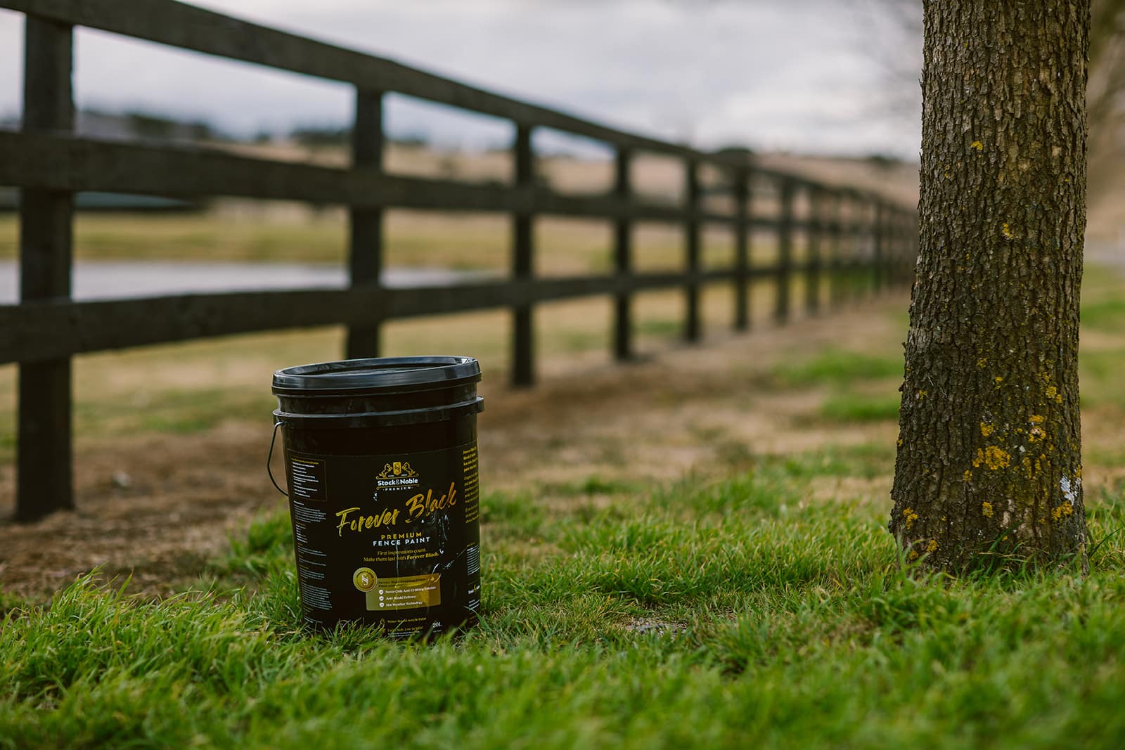 Timber Fence Paint