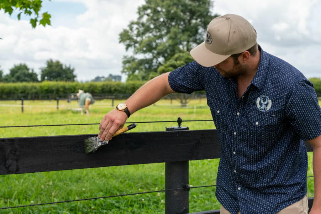 electric horse fence