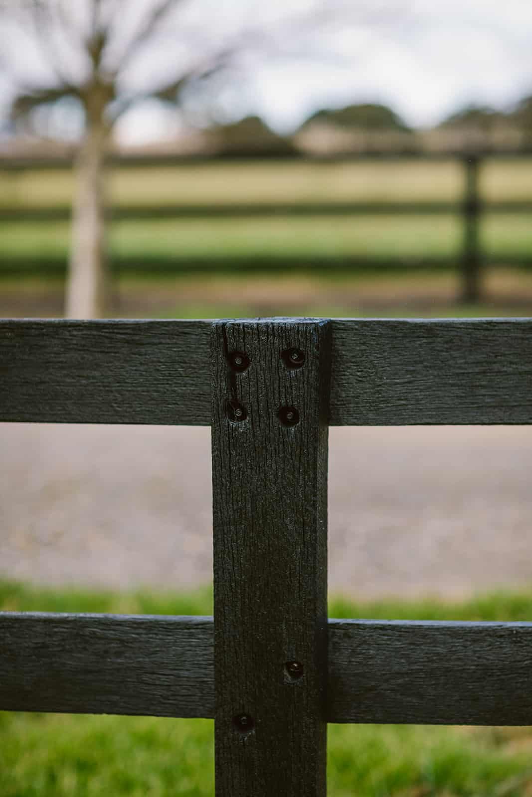 timber fence paint