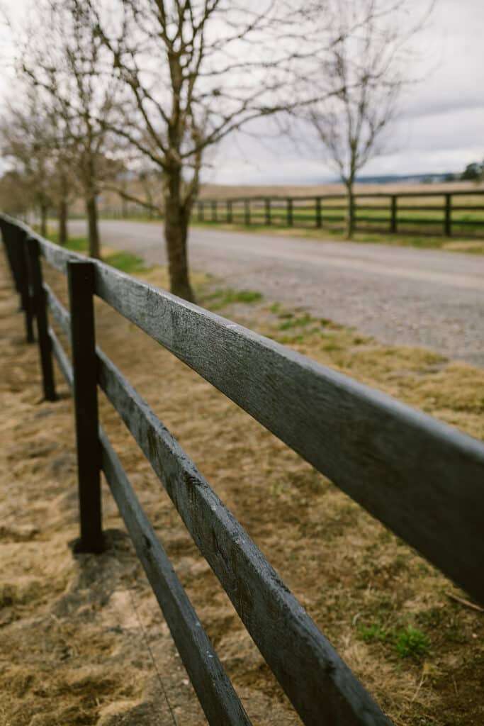 timber fence paint