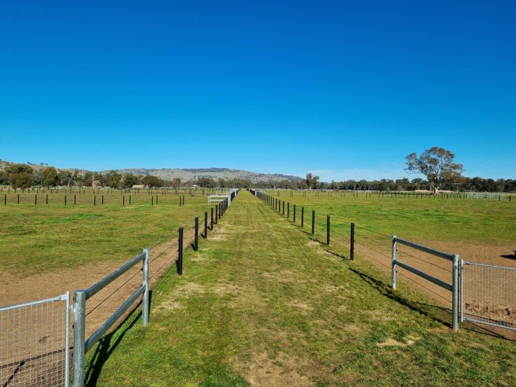 Horse fencing idea 
