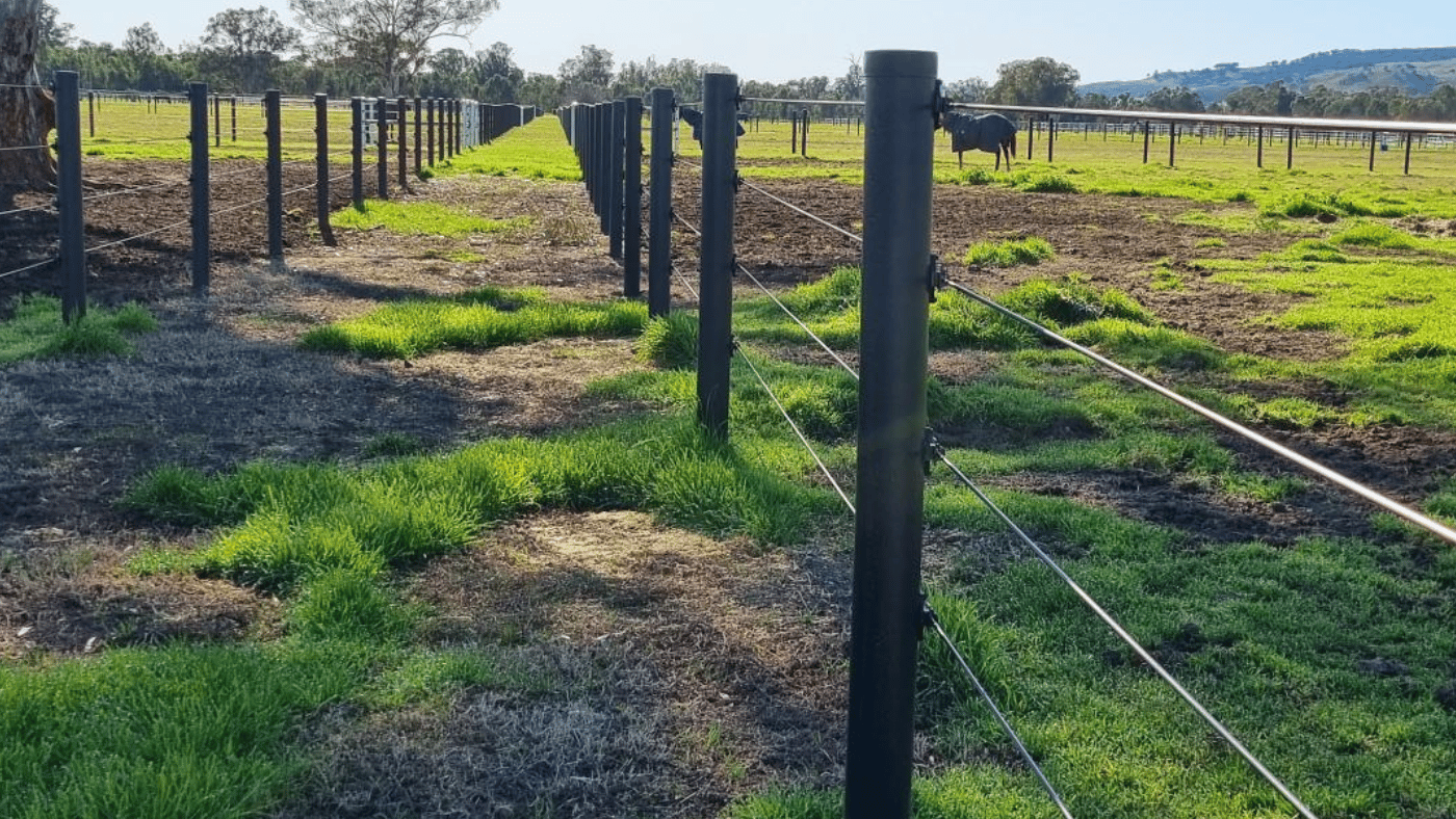 Plastic fence post - hogan post for horse fencing
