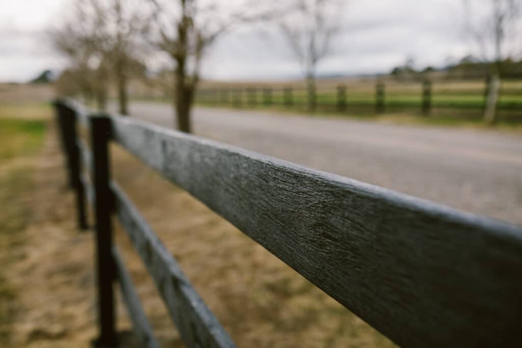 timber fence paint