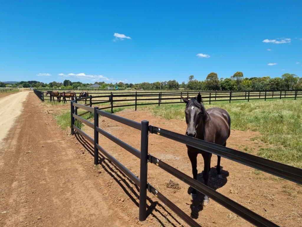 horse fencing - fence post with horserail - steel post and rail