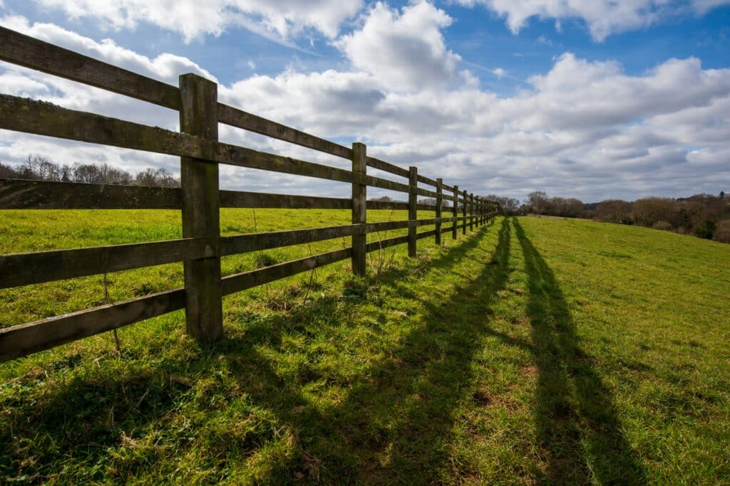 Timber post and rail fence