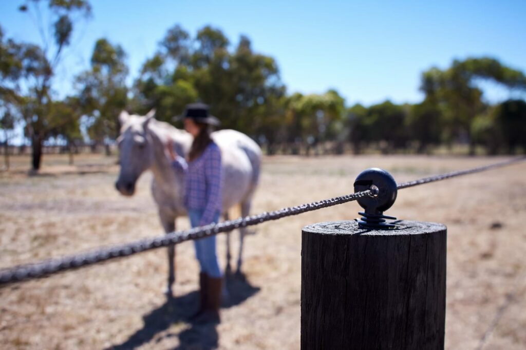 EquiRope - electric fence for horses by Stock and Noble
