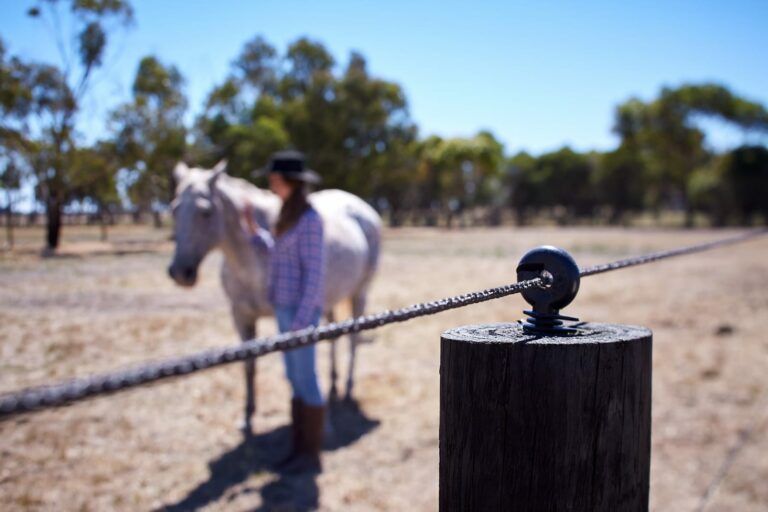 EquiRope - electric fence for horses by Stock and Noble