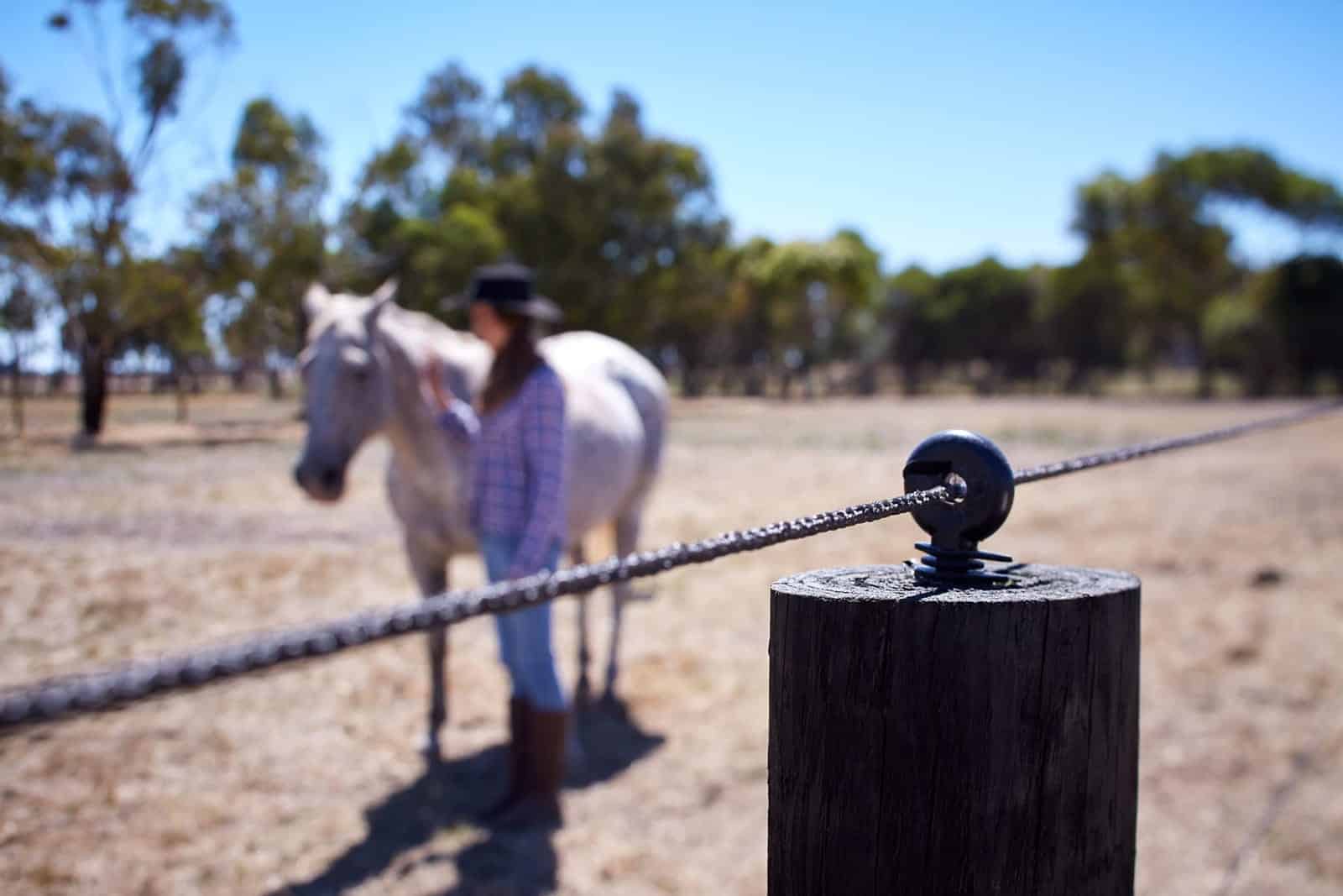 EquiRope - electric fence for horses by Stock and Noble