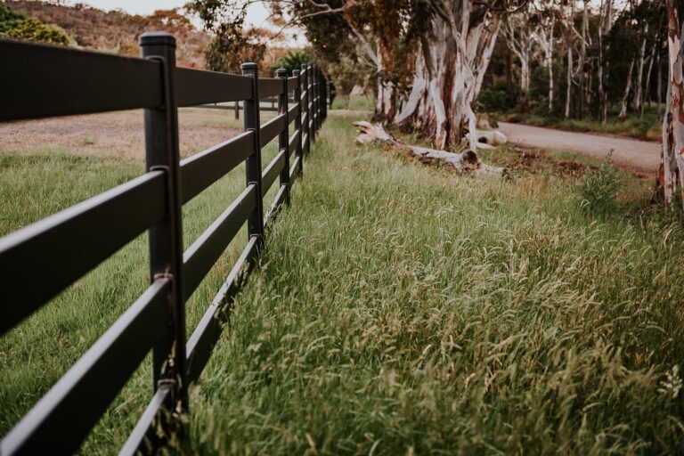 Premium Steel post and rail fencing - 4 rail - black fencing by Stock and Noble