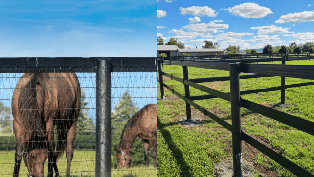 horserail vs horse mesh - horse fencing - foaling yard