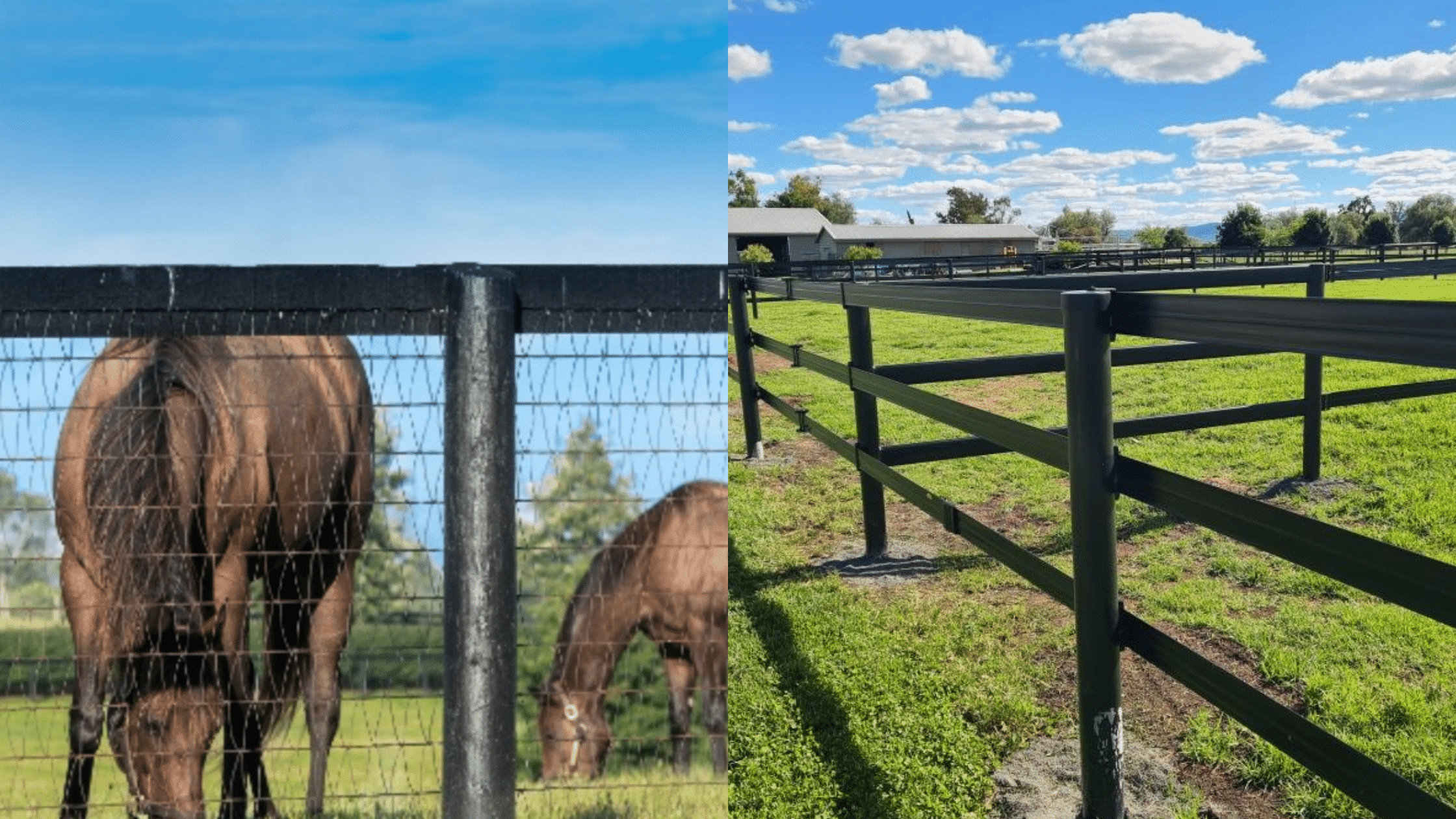 horserail vs horse mesh - horse fencing - foaling yard