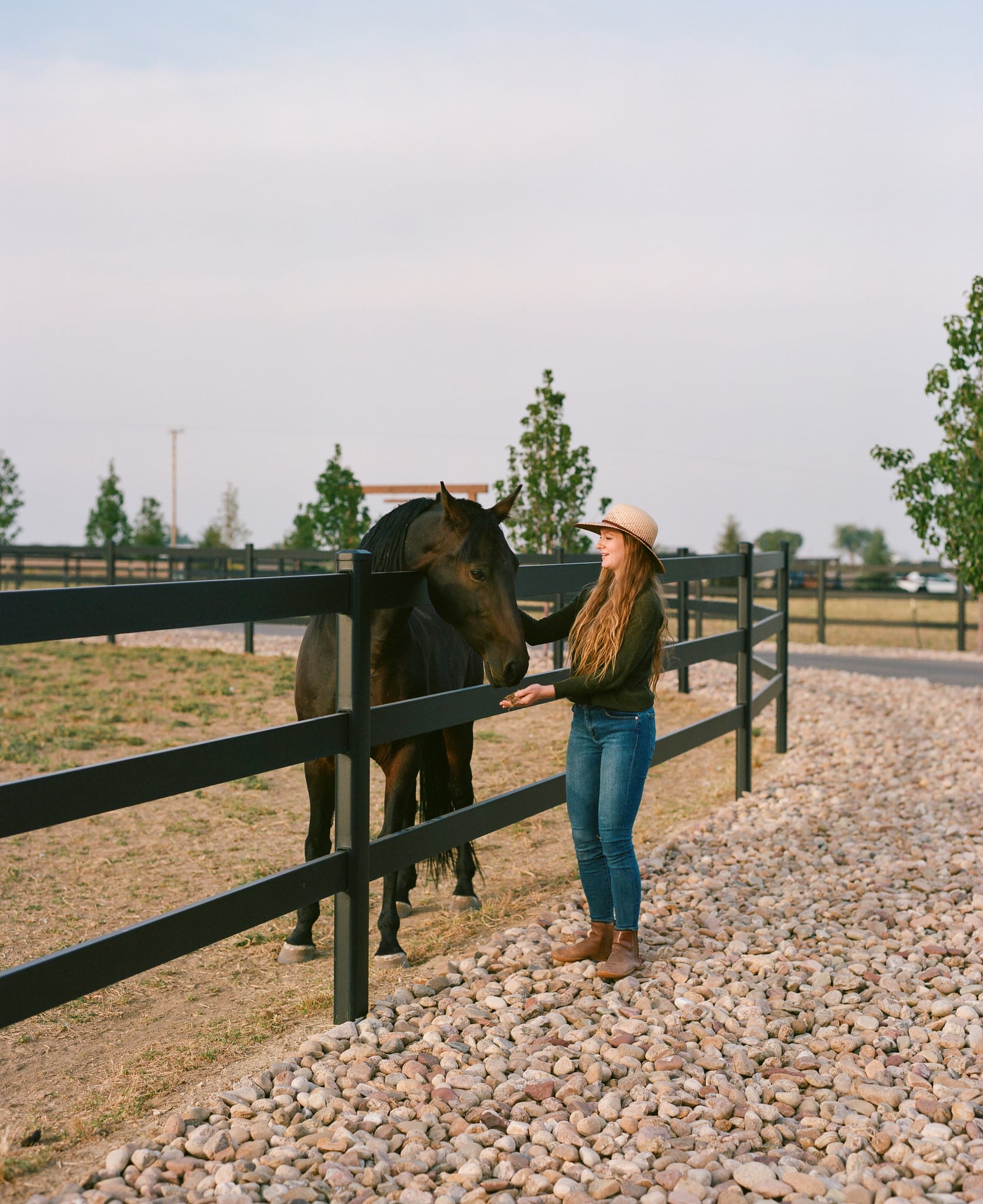 Horse owner patting horse inside a 3 rail black premium steel post and rail fence