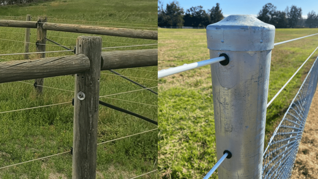 Treated Pine Posts vs Steel Fence Posts - comparison - fencing - fence posts