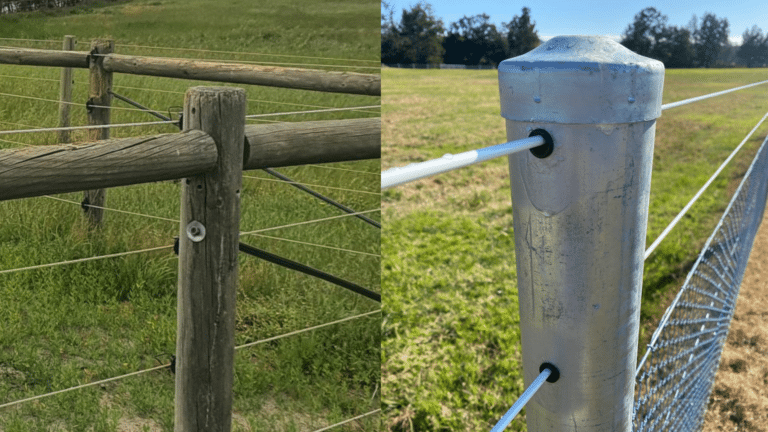 Treated Pine Posts vs Steel Fence Posts - comparison - fencing - fence posts