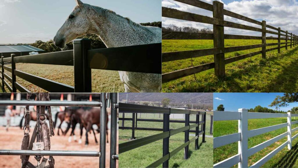 multiple fencing - post and rail - timber post and rail-steel post and rail- pvc post and rail - cattle rail - flexible rail