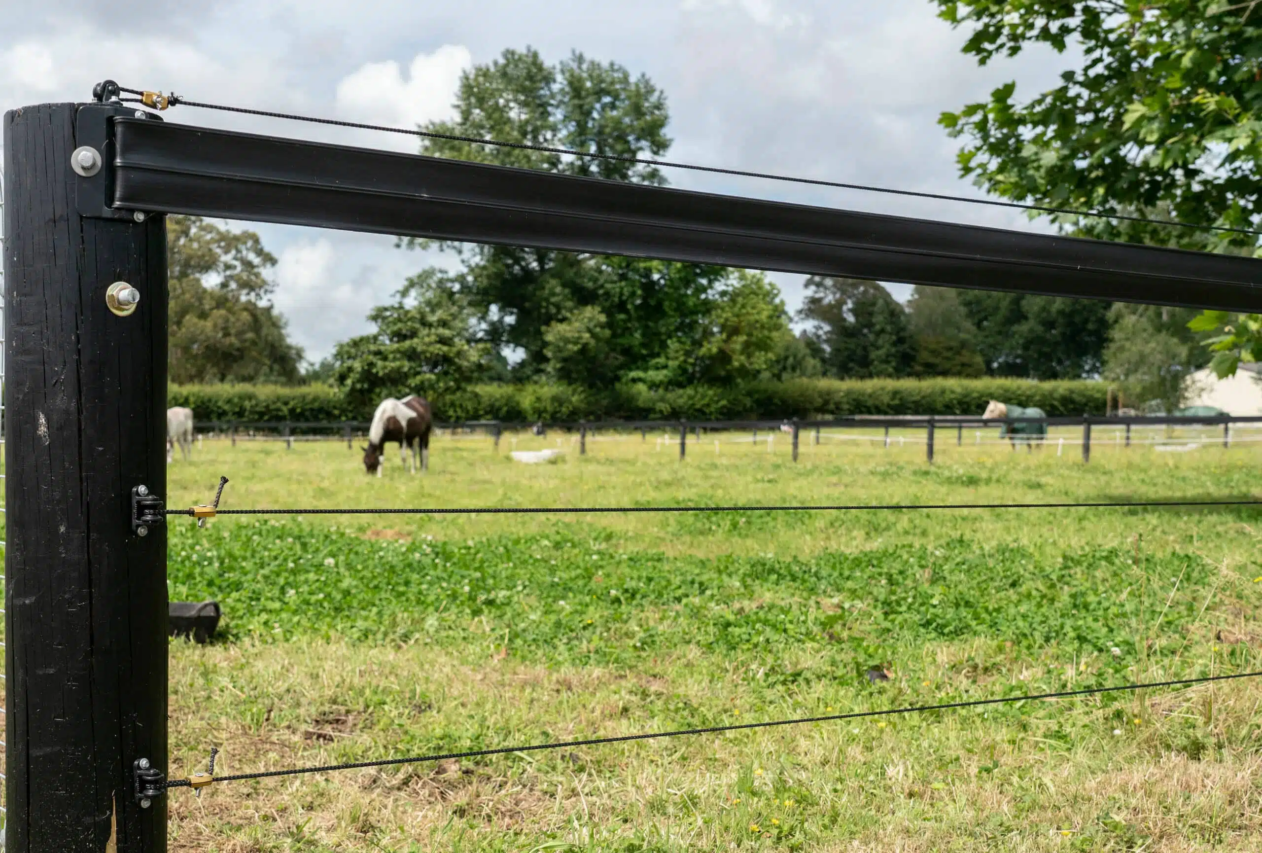 Building a Safe Horse Fence Should You Electrify or Not?