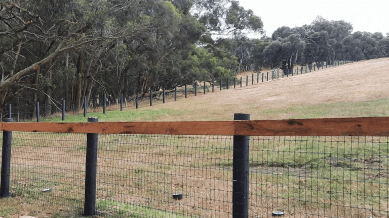 Steel-mesh-attached-to-timber-post-and-rail-fencing