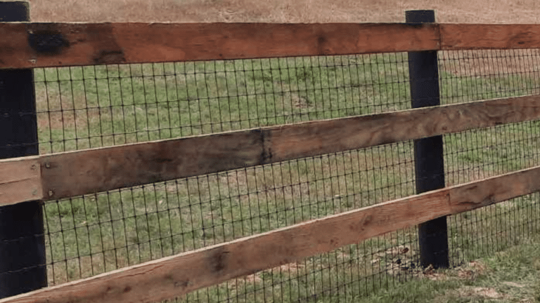 BLACK MESH FENCING