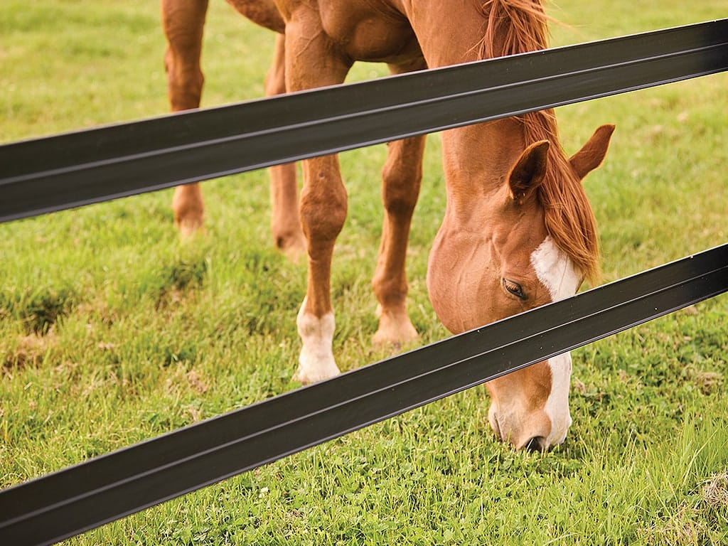 SN-Horserail-Horse-safe-V1.jpg