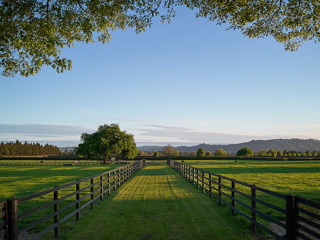 SN-Horserail-Premium-fence-look-V2.jpg