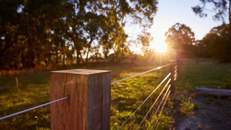 SN-PRODUCT-1_hero_HR_COVER_BORDERLINE_S7A1637-v1